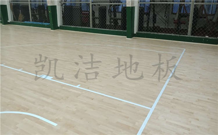 河北滄州體育學校體育館木地板案例圖片